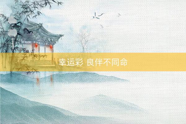 幸运彩 良伴不同命