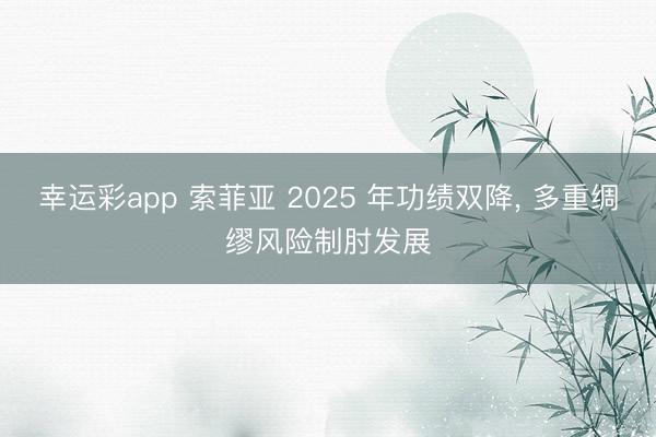 幸运彩app 索菲亚 2025 年功绩双降, 多重绸缪风险制肘发展